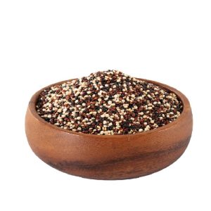 خرید کینوا رنگی